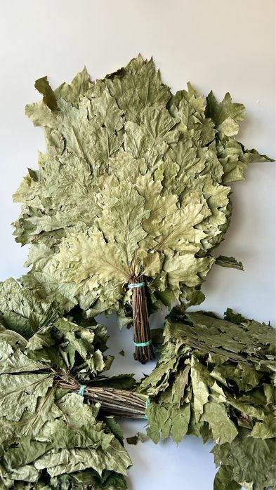 Witki do Sauny, Witkowanie w Saunie, Wenik Bania,