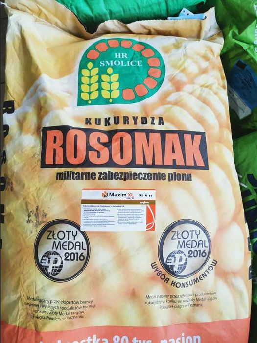 Kukurydza nasiona ROSOMAK ziarno grys kiszonka