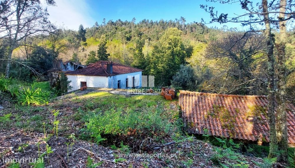 Venda de Quinta, Meixedo, Viana do Castelo