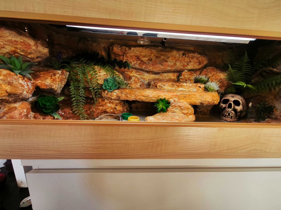 Terrarium agama terrarium pustynne 100x40x40 cały osprzęt