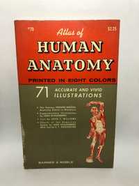 Atlas Of Human Anatomy