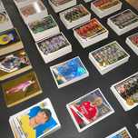 Cromos Panini Liga Portuguesa Betclic 2024/2025
