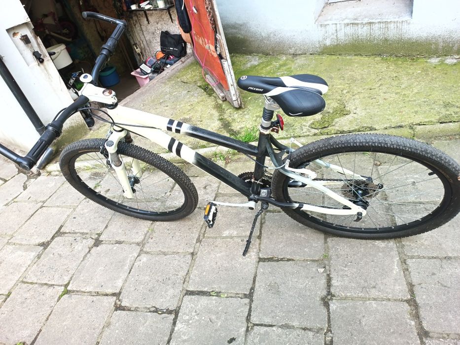 Rower męski, Wrocław