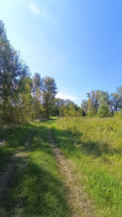 Продам ділянку в селі Літочки Броварського району