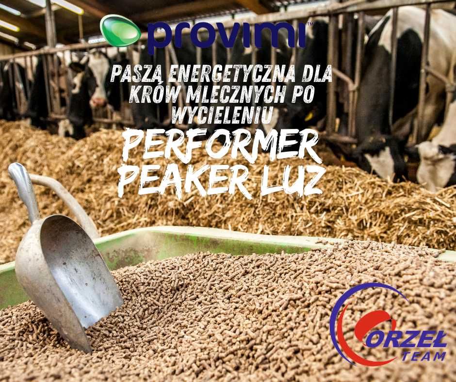 Pasza dla krów po wycieleniu Performer Peaker 8.4MJ energii 20% białka