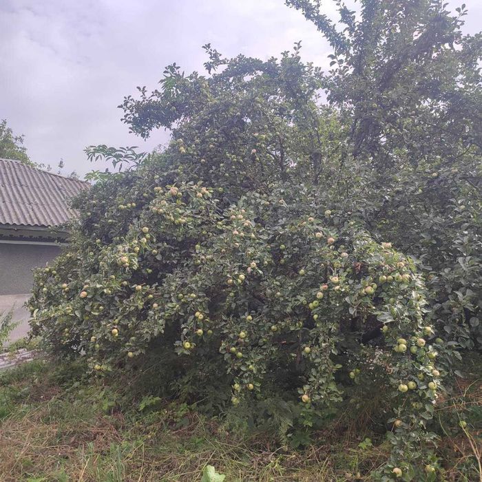 Терміново!Будинок 113,6м2 с.Голозубинці,Дунаївці!Житловий стан! 11000$