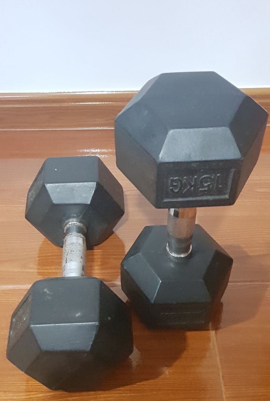 Halteres de 15kg