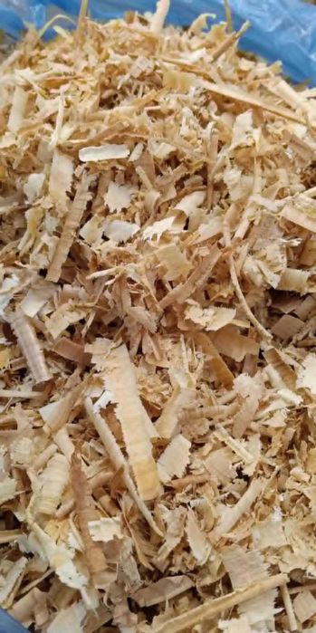 TROCINY owocowe CZEREŚNIA do wędzenia, podłoże dla zwierząt, nawóz