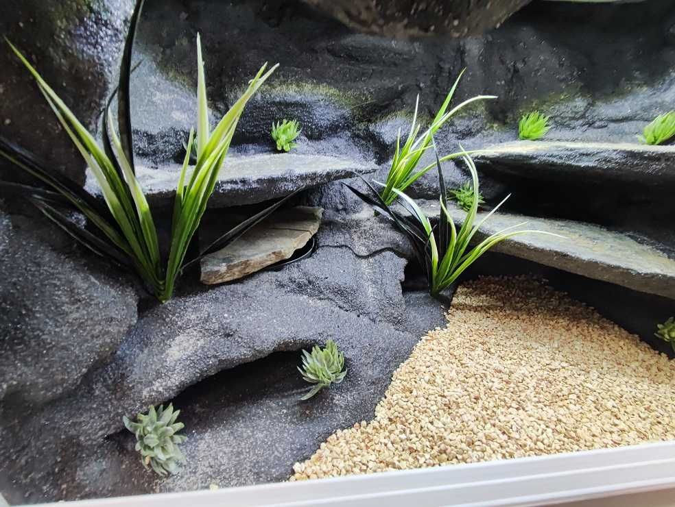 Terrarium pustynne nr580 60/40/40 dla gekona lamparciego NA ZAMÓWIENIE