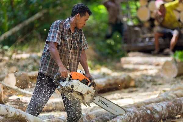 Прибирання ділянки Благоустрій Спилювання дерев Розчищення