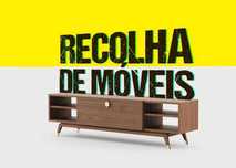 Recolha de monos, recolha de móveis, lixo, eletrodomésticos