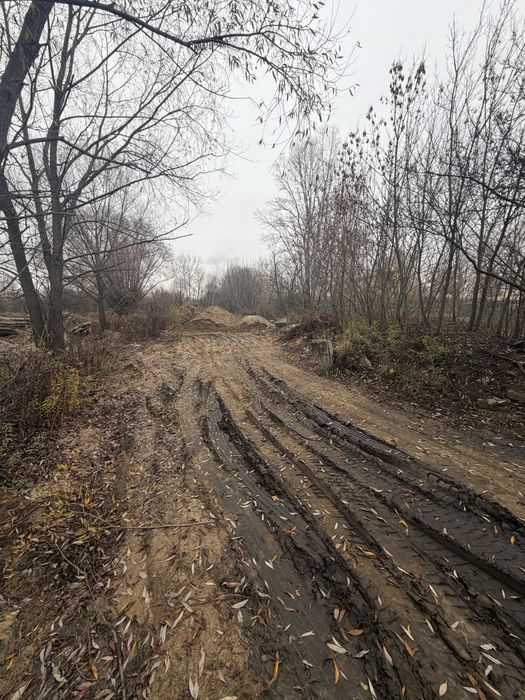 Wynajme dzialke 2000m2