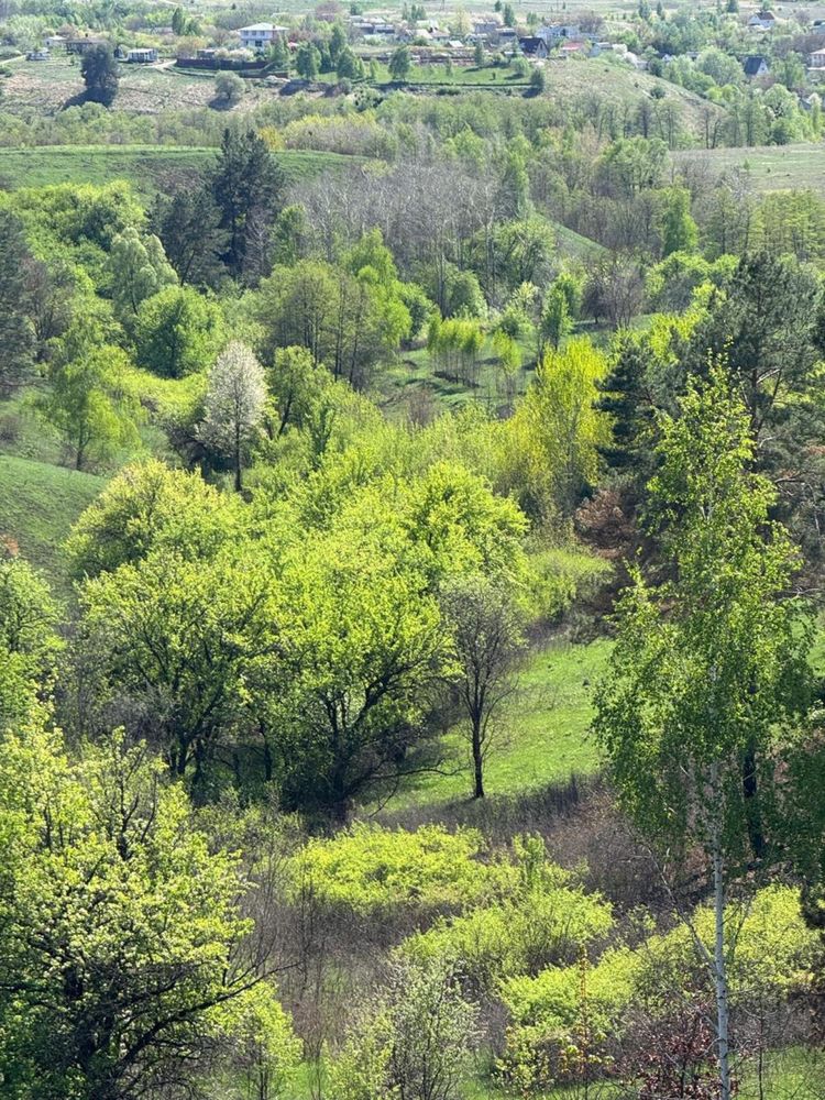 Ділянка від 5 до 30 гектар Ходосівка