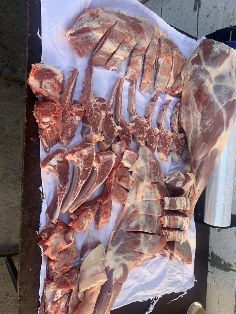 Продам мясо яловичини баранини конини індивідуальний розруб є пилка!!!