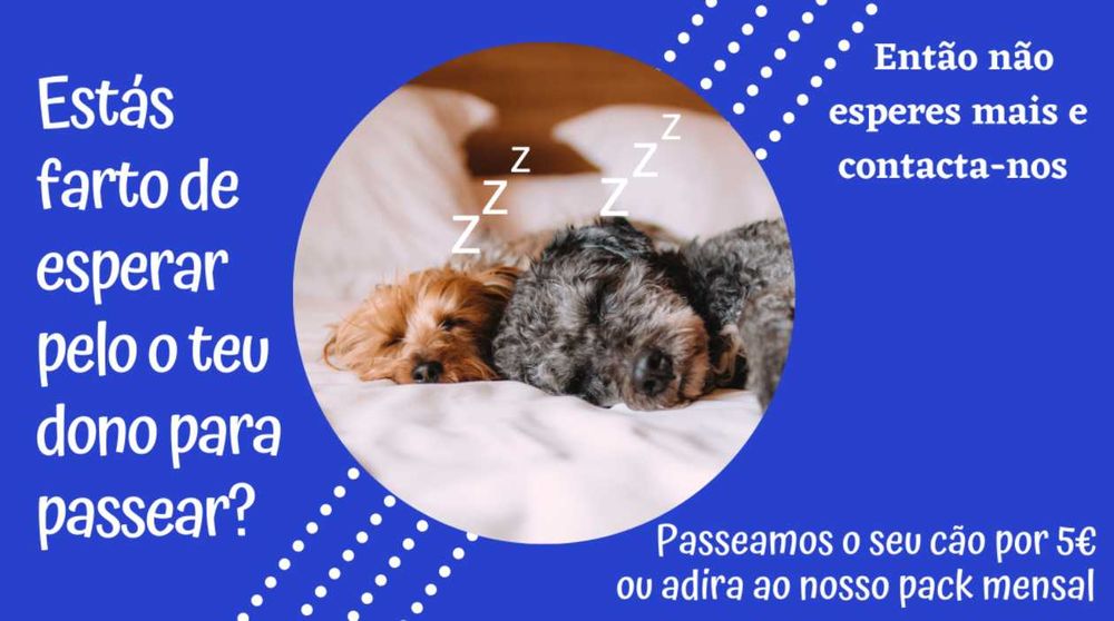 explicações / babysitting / petsitting
