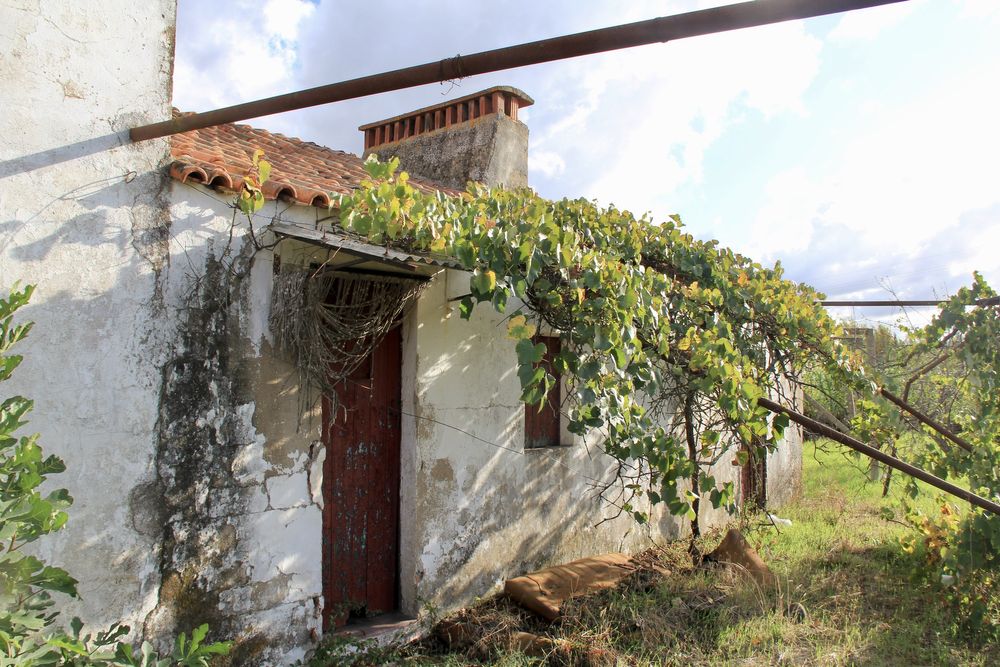 EXECLENTE INVESTIMENTO Casa para recuperação com grande terreno