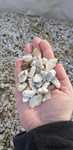 Grys Crystal white 8-16 Kamienie ogrodowe dekoracyjne ozdobne