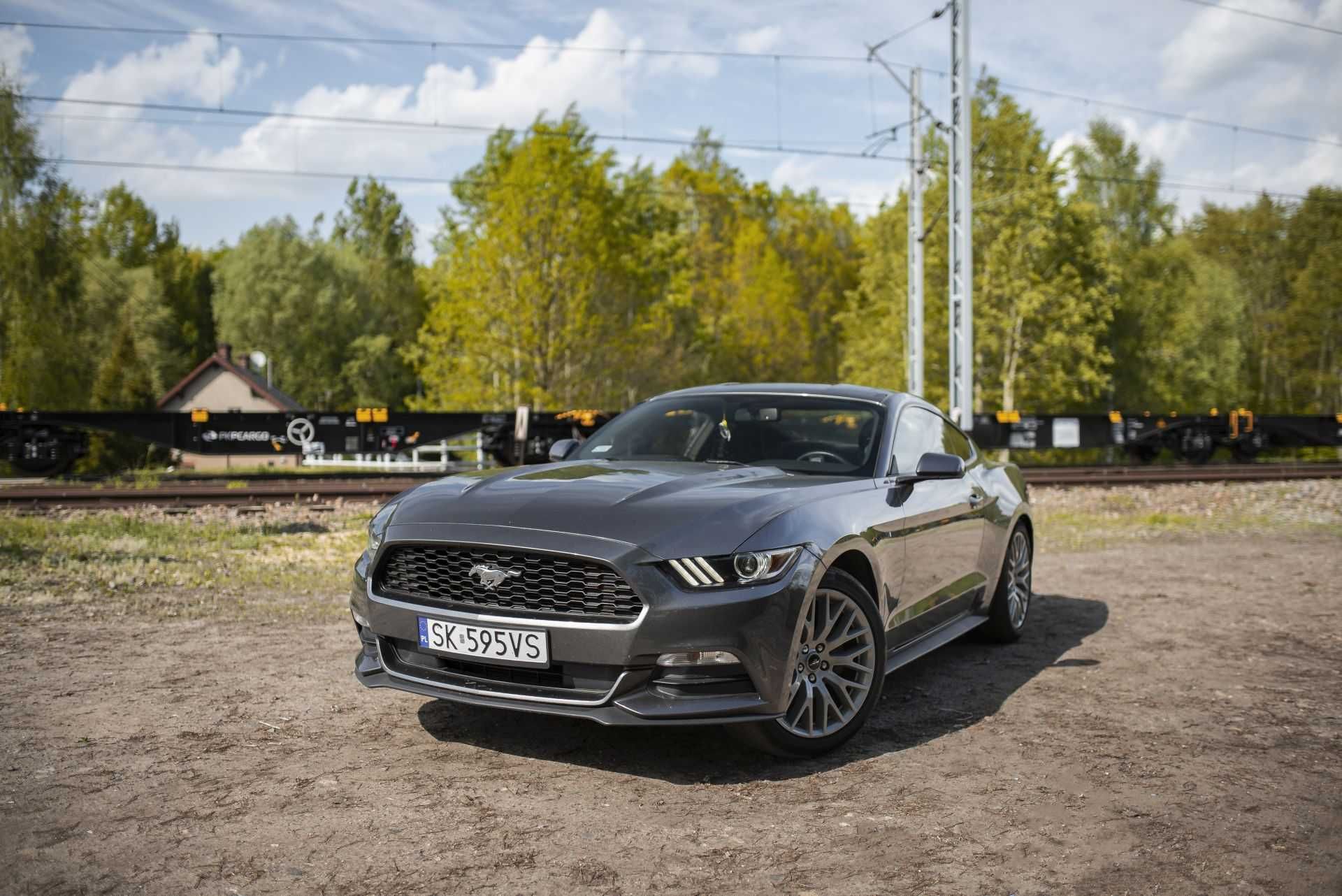 WYNAJEM FORD MUSTANG V6 - już od 400zł/brutto! Idealne na ślub!