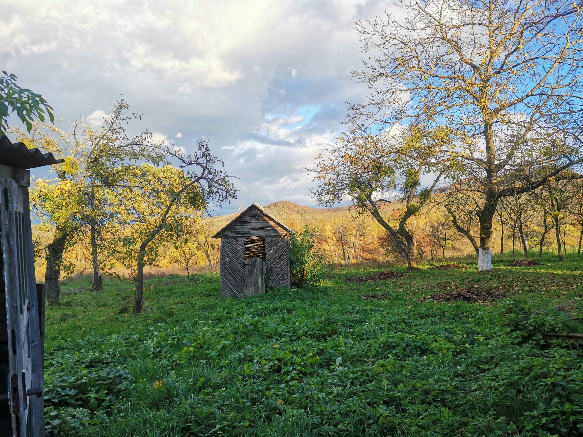 Будинок с.Туря Бистра (Ужгородський район)