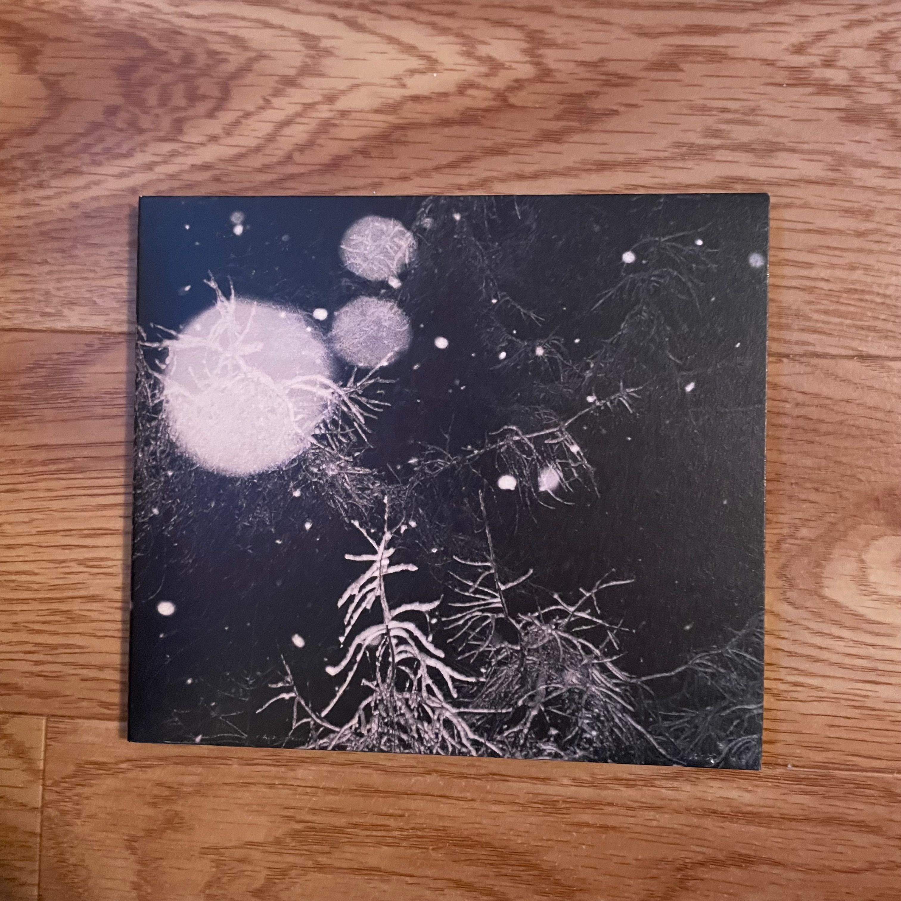 Płyta CD Over the Voids Digipack