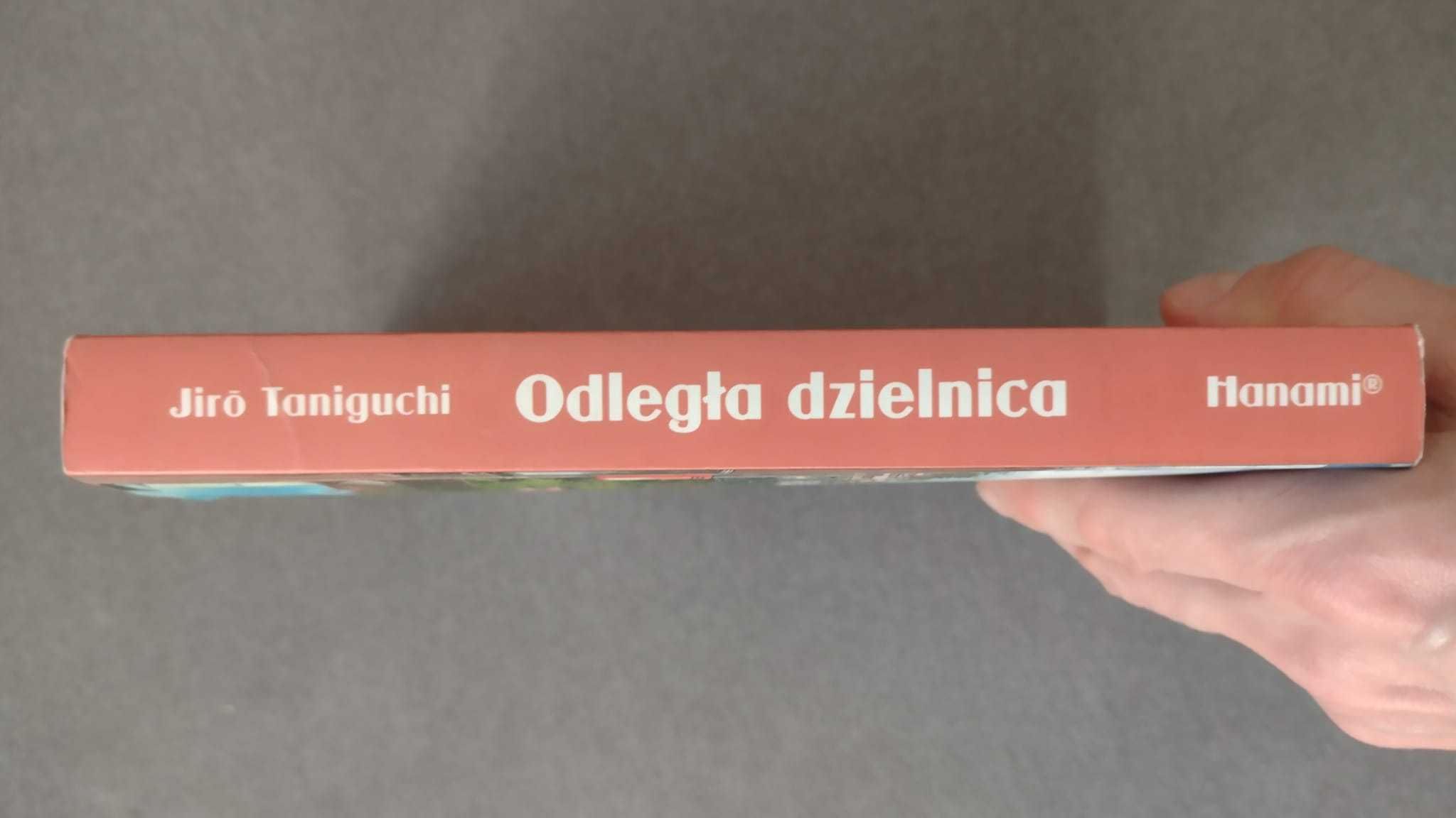 Odległa dzielnica - Taniguchi - manga