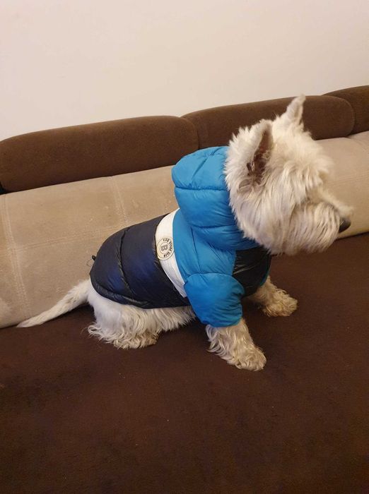 Ubranko ciepła kurtka dla psa niebiesko granatowa z kapturem