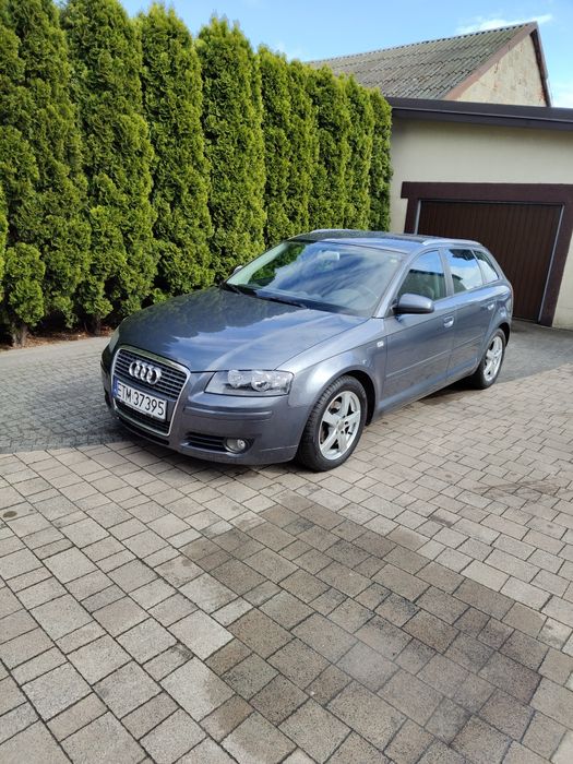 Audi  A3. 1.9  TDI. 2007 r.