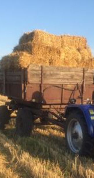 , солома в тюках.