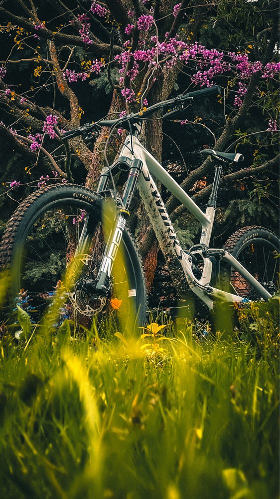 Specialized S-Works Enduro