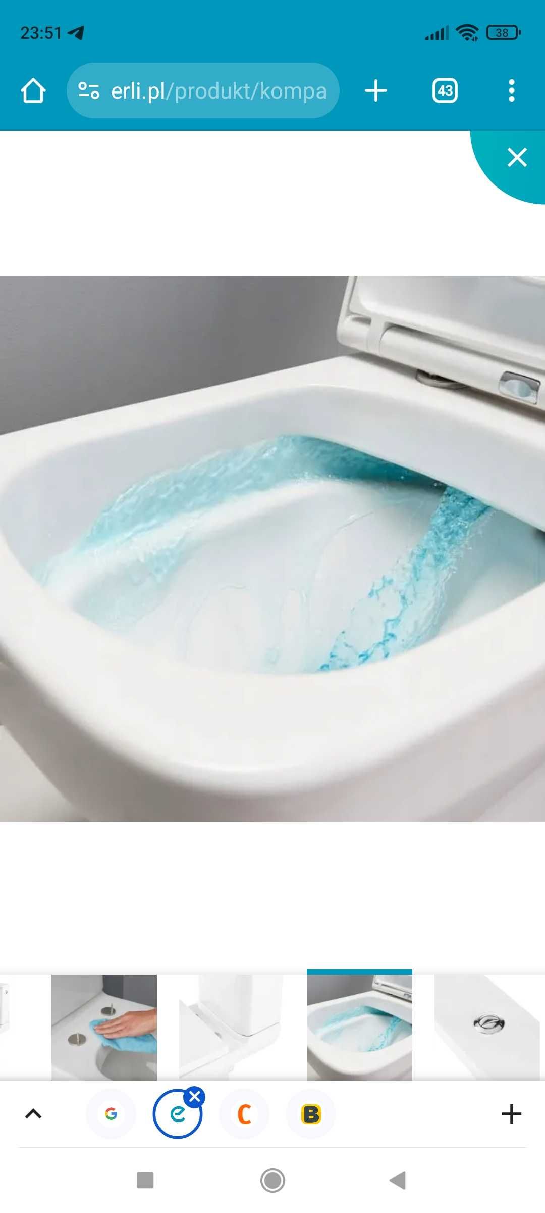 WC GoodHome Teesta