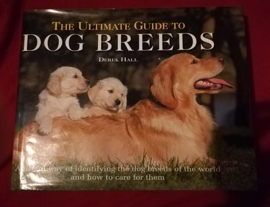 Dog Breeds - The ultimate guide to Dog Breed fotografia raças cães