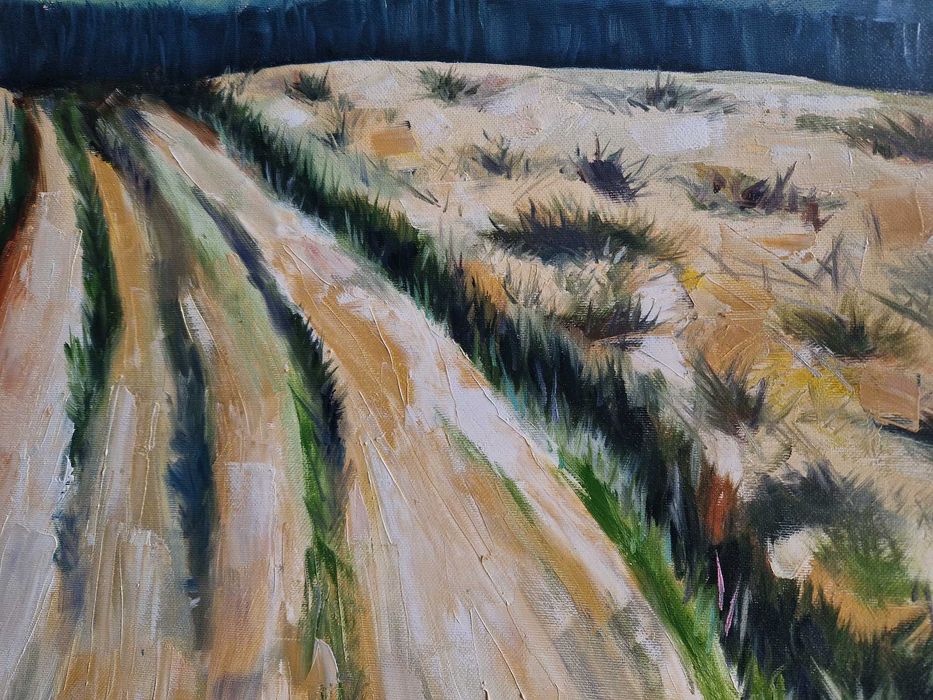 Obraz Góry Bieszczady 100x70 cm