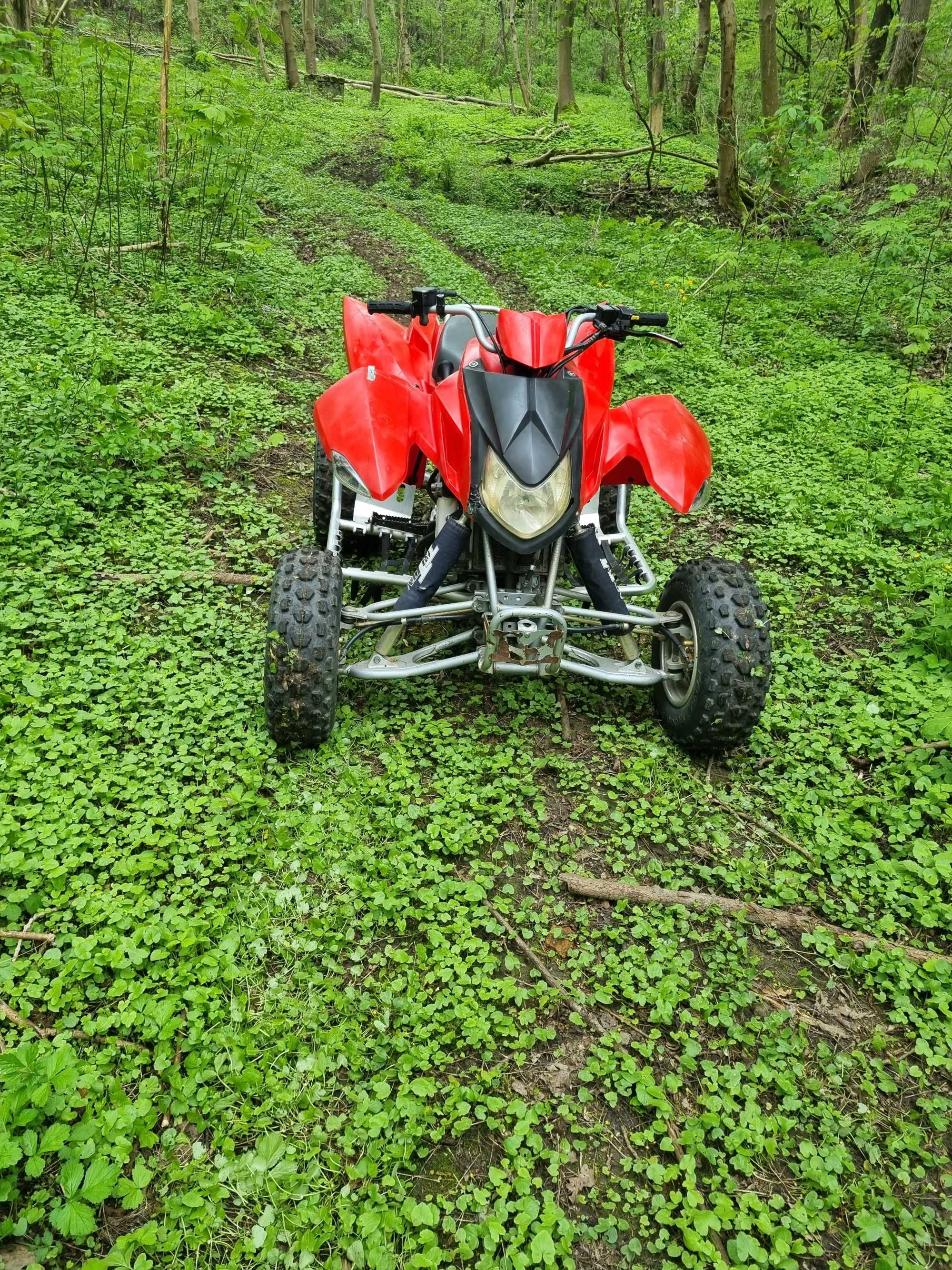 Quad Triton baja 300