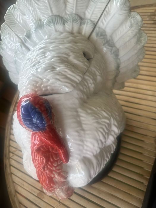 Terina com tampa é concha em forma de peru