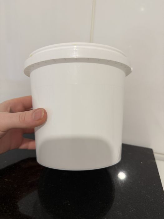 Мох яванський Vesicularia dubayana