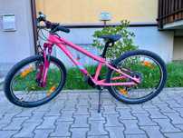 Rower CUBE ACID 240 coral