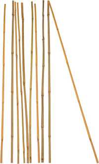 Podpórki roślinne wykonane z bambusa 20szt 50cm