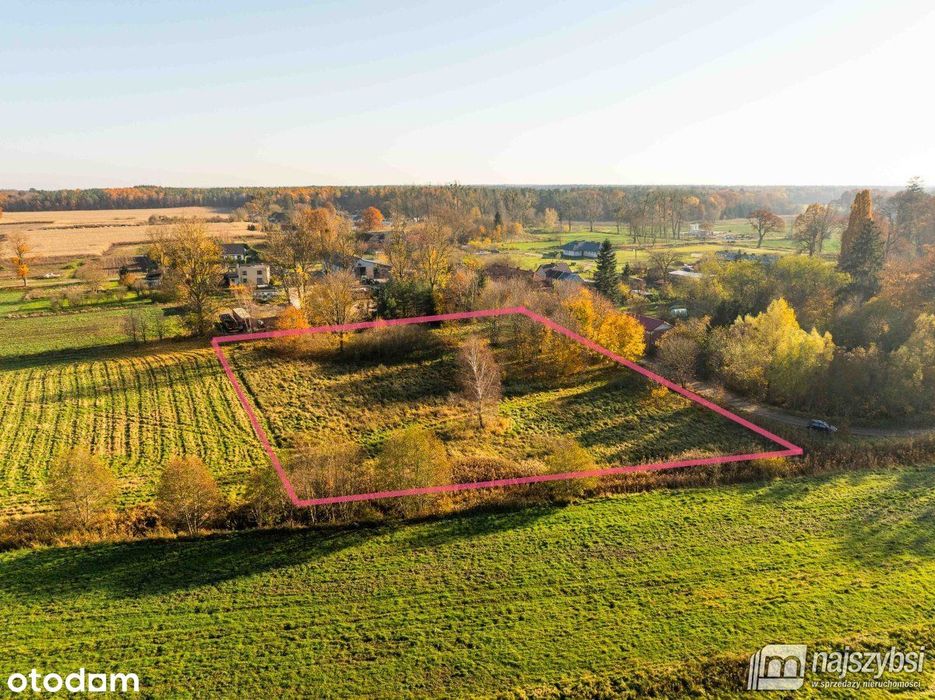 Czarne - Kompleks 2 działek na sprzedaż