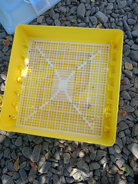 Inkubator półautomatyczny ikar