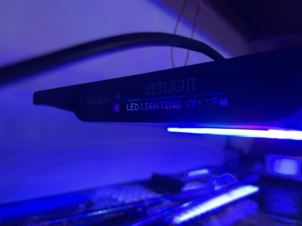 Zetlight QMAVEN ZT6600 - lampa LED do akwarium