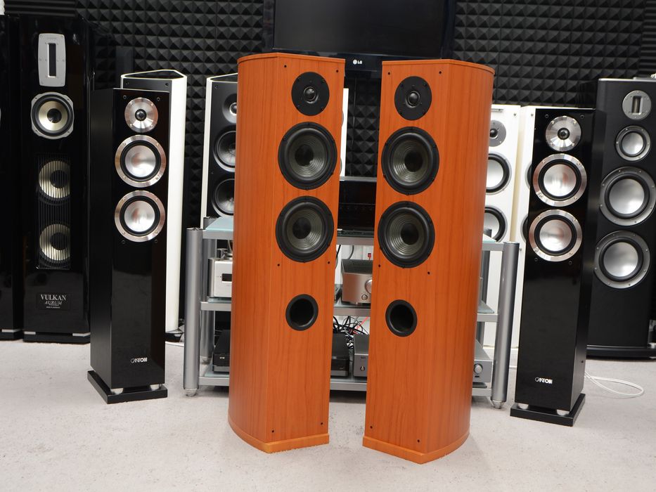 kolumny Głośnikowe podłogowe stereo Dantax Scansonic New Century