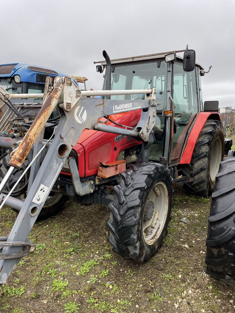 Massey Ferguson sadowniczy
