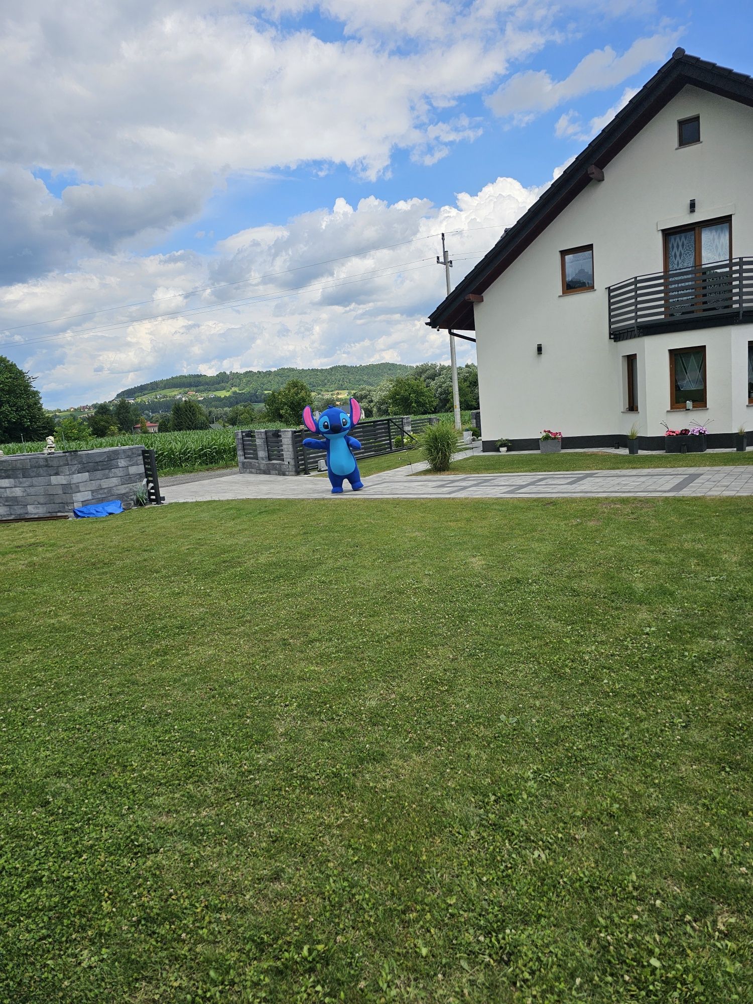 Wynajem stroju stitch dmuchane przebranie