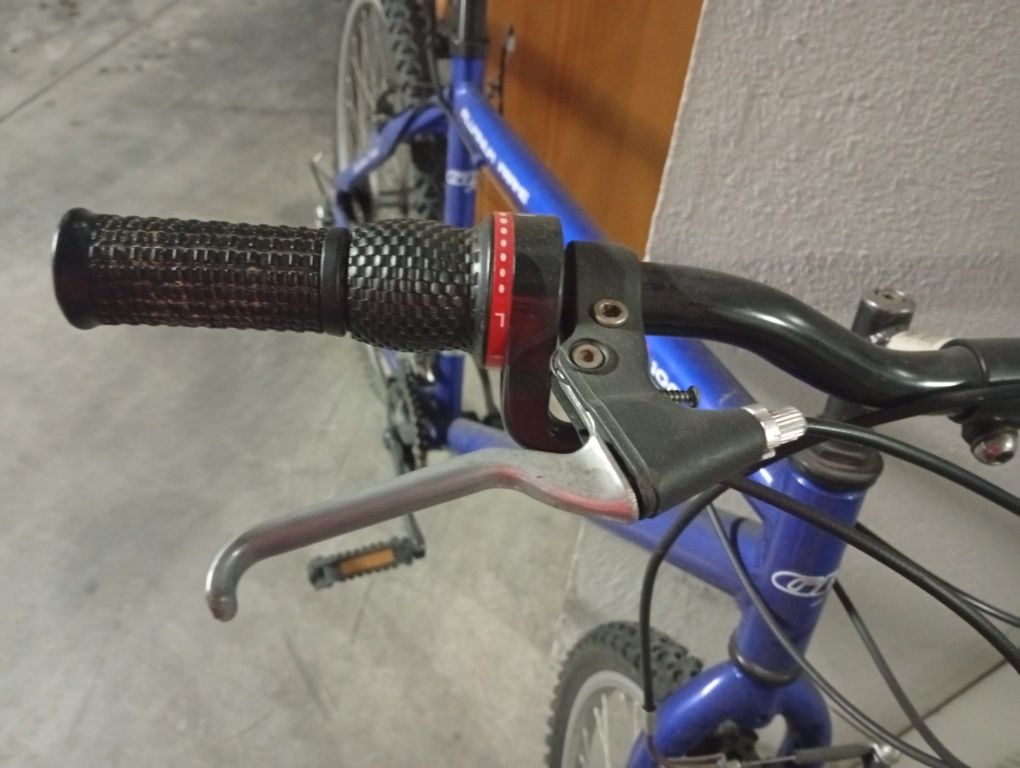Duas bicicletas adulto
