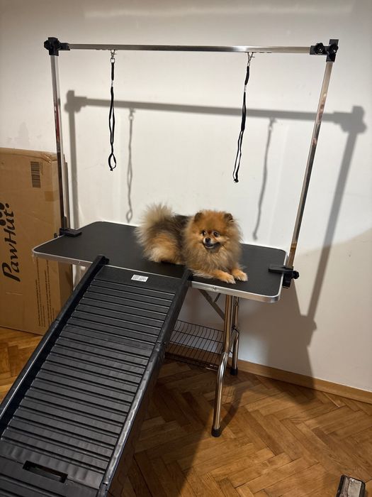 Stol duzy groomerski stol dla groomingu psa profesionalny