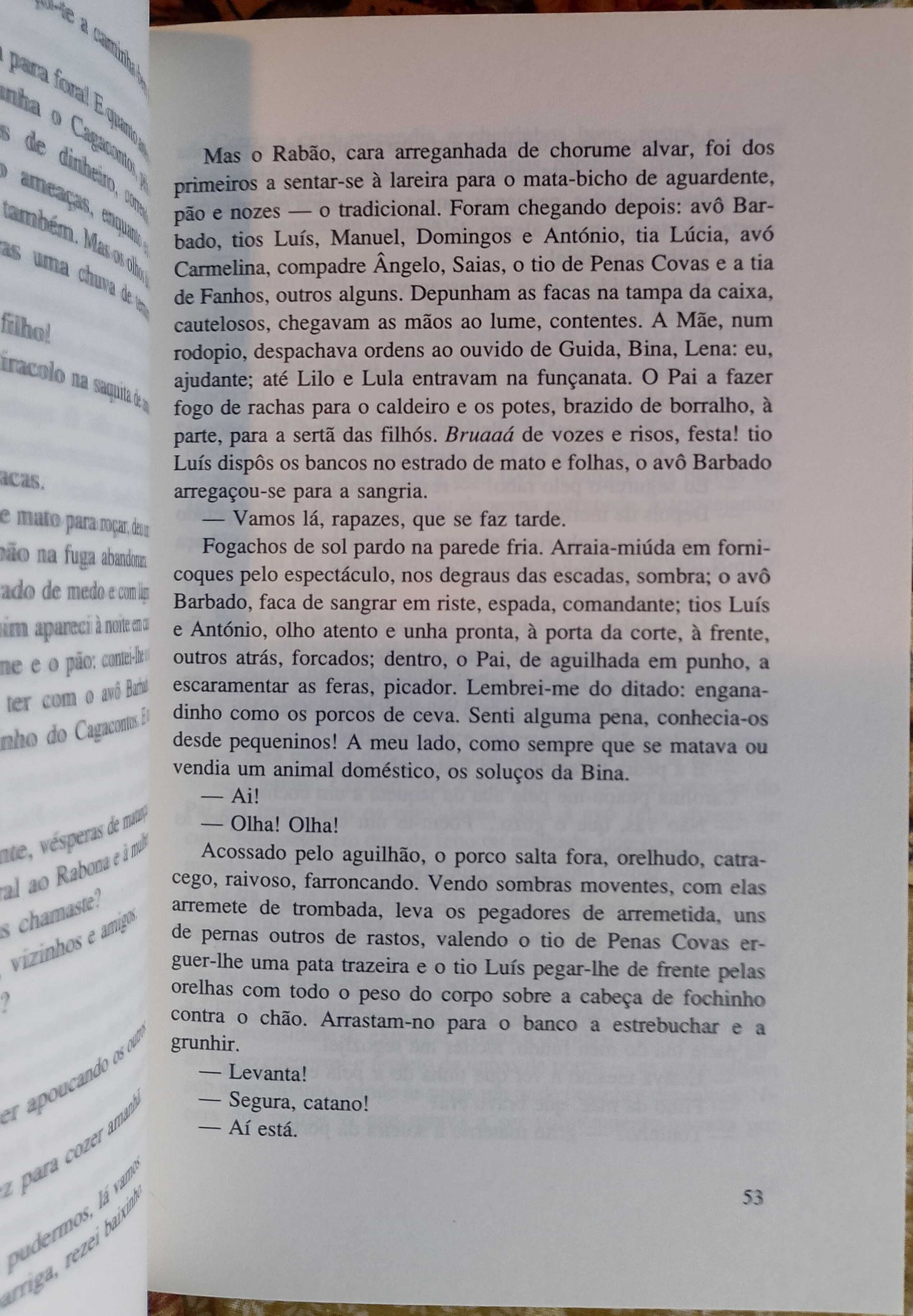 Planalto de Gostofrio, Bento da Cruz