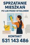 Profesjonalne sprzatanie mieszkań