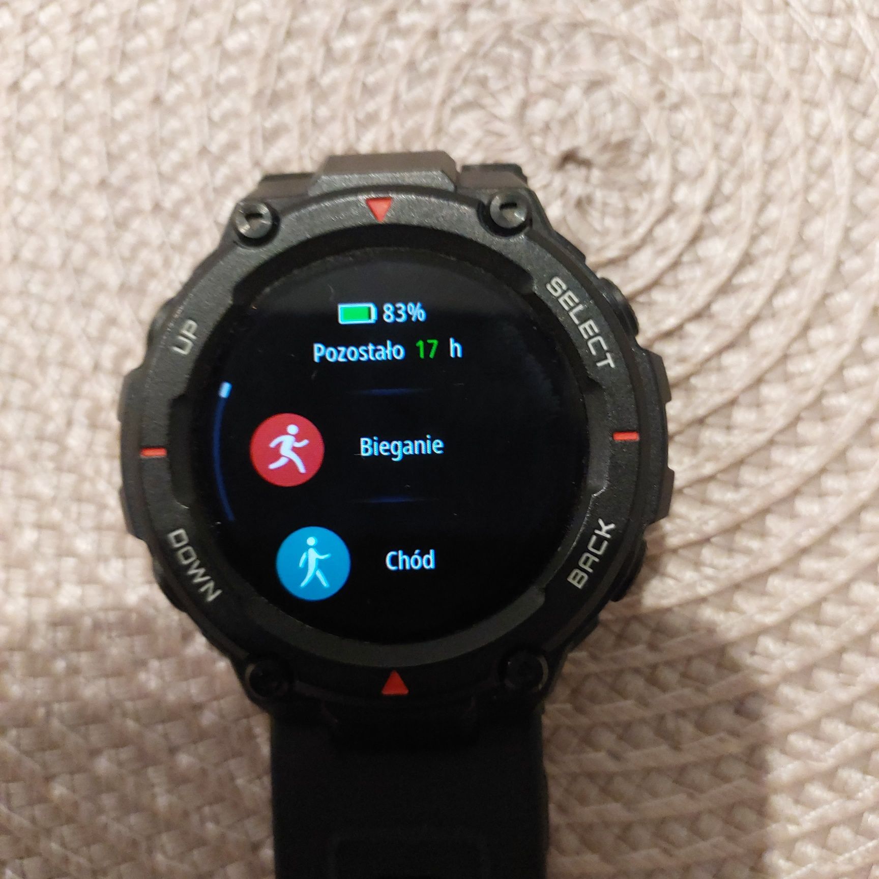 Smartwatch Amazfit T-Rex A1919