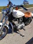 Harley Davidson 883 Custom