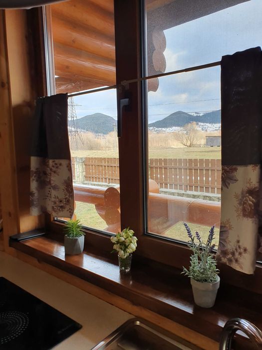 Котедж в Карпатах.  Відпочинок в горах